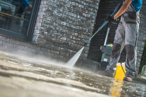 Best Pre-Holiday Cleaning  in Arcola, TX