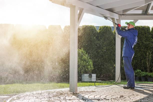 Boat and Dock Cleaning in Arcola, TX